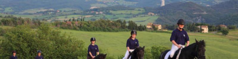 TORNA LA RASSEGNA DEL CAVALLINO DI MONTERUFOLI