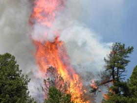 Pubblicazione provvedimento di aggiornamento delle aree percorse da fuoco