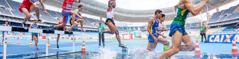 COSTITUZIONE CONSULTA DELLO SPORT